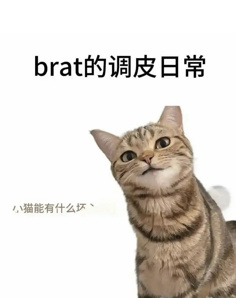 西檬之家BDSM是什么意思? 一
