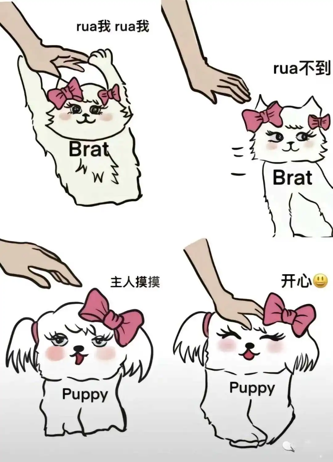 西檬之家SP小圈是什么?字母圈新人入圈指南 一