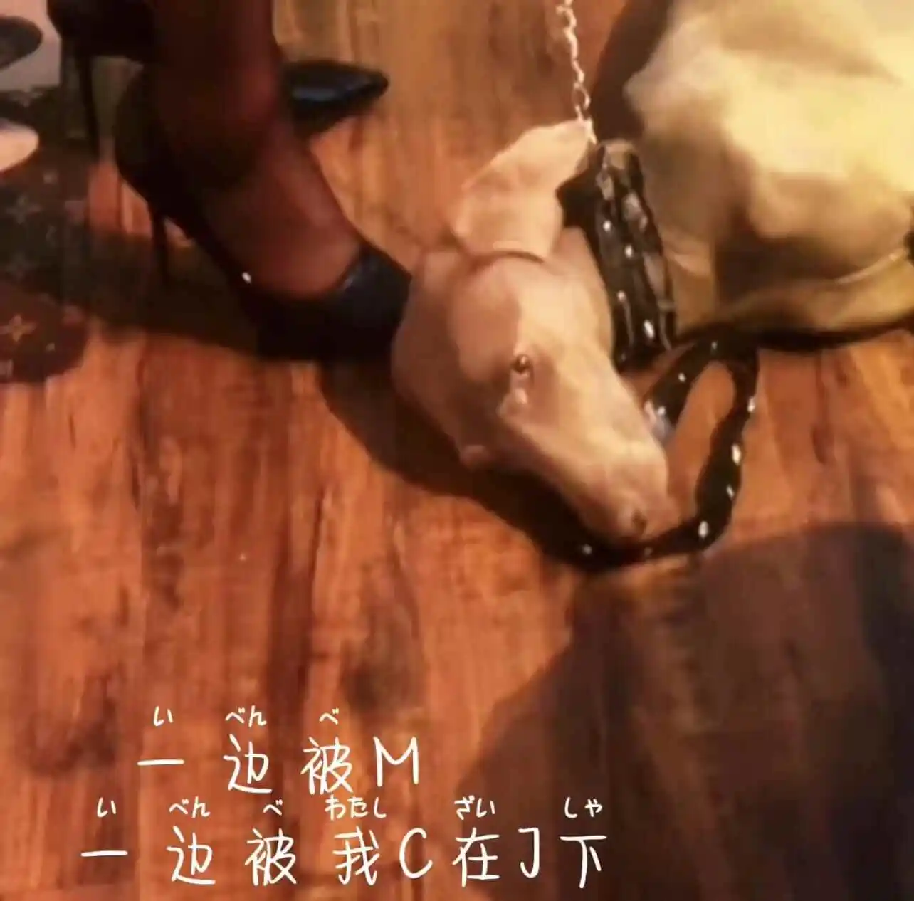 西檬之家字母圈的Aftercare是什么? 一