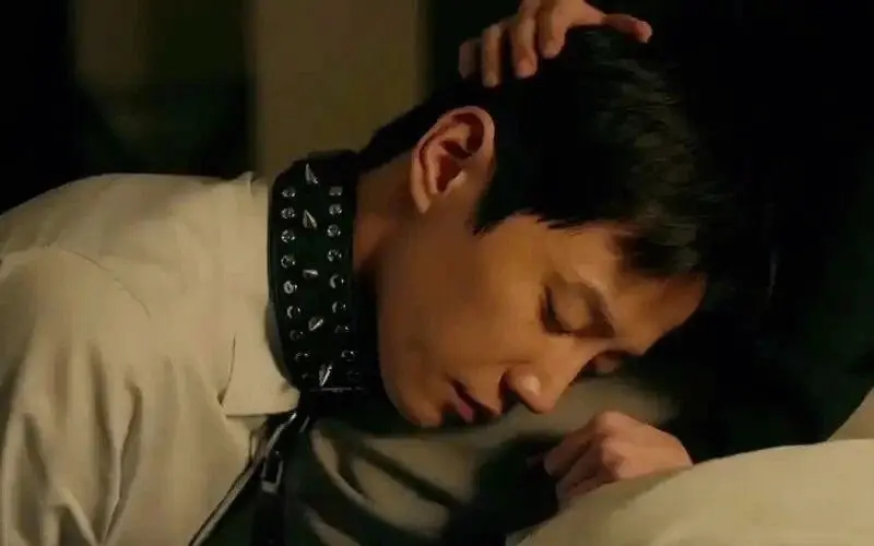 西檬之家m倾向是什么? 一