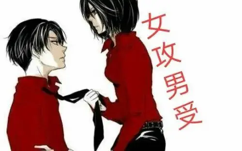 西檬之家sp小圈新人入坑指南 一