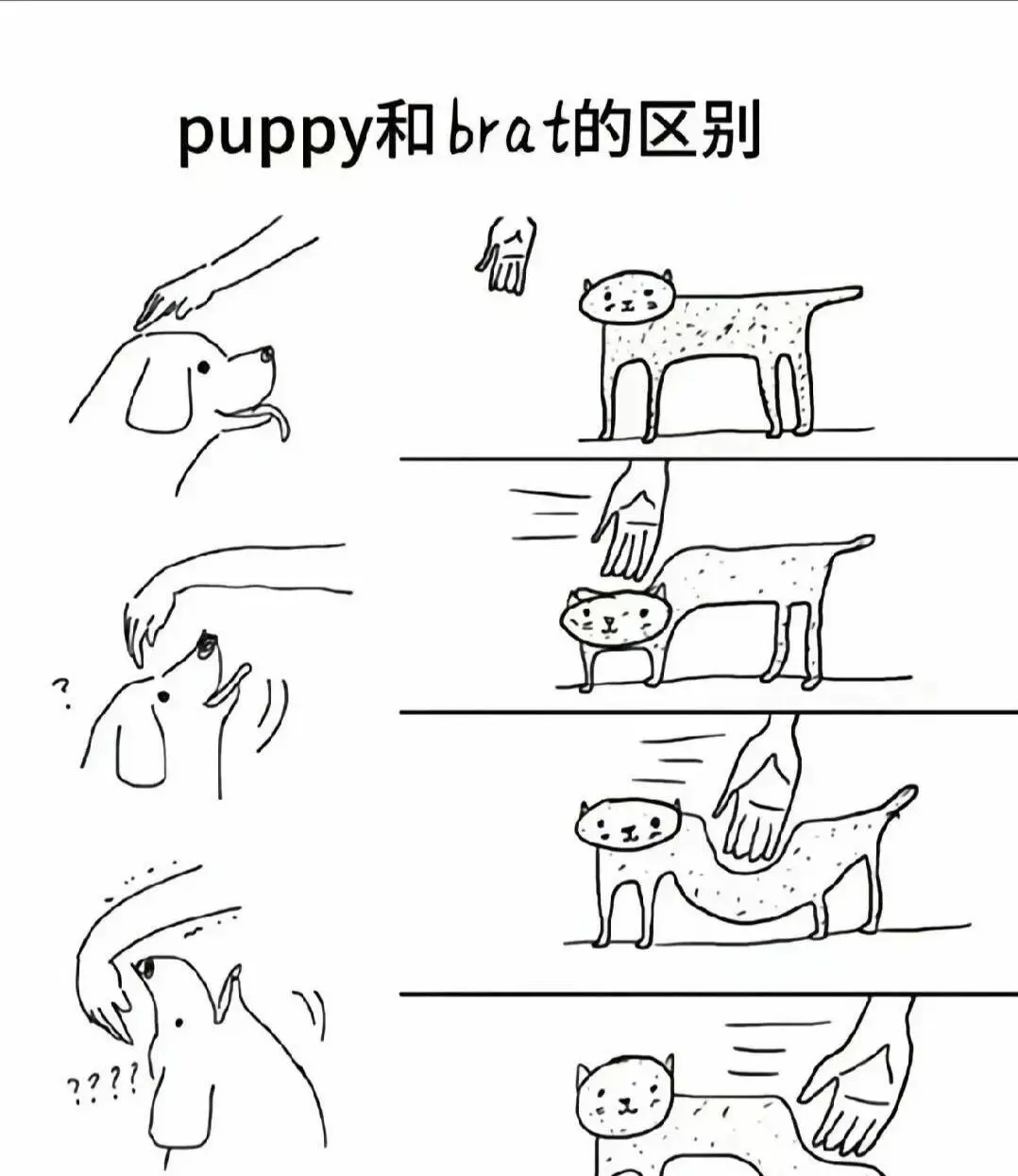 西檬之家字母圈的K8猫系是什么? 一