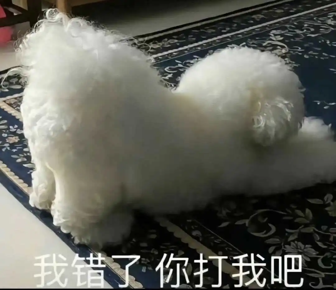 西檬之家什么是DS关系? 一
