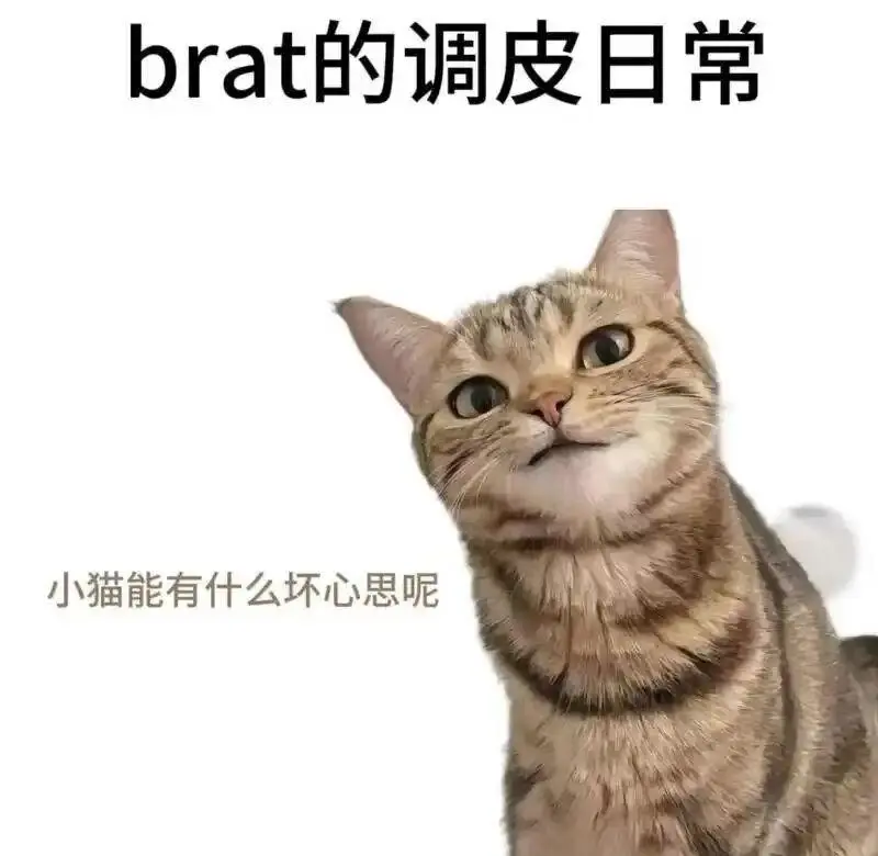西檬之家你的s属性是哪种? 一