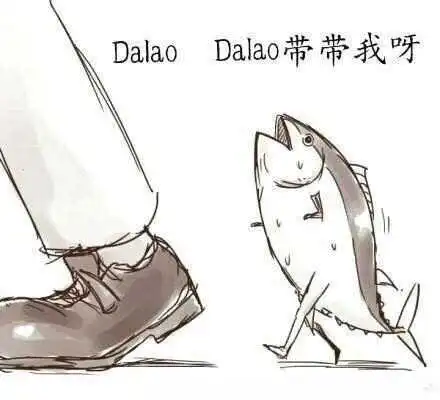 西檬之家DS关系是什么?新手入门指南 一
