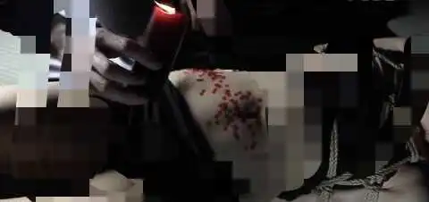 西檬之家字母圈的Dom是什么意思? 一