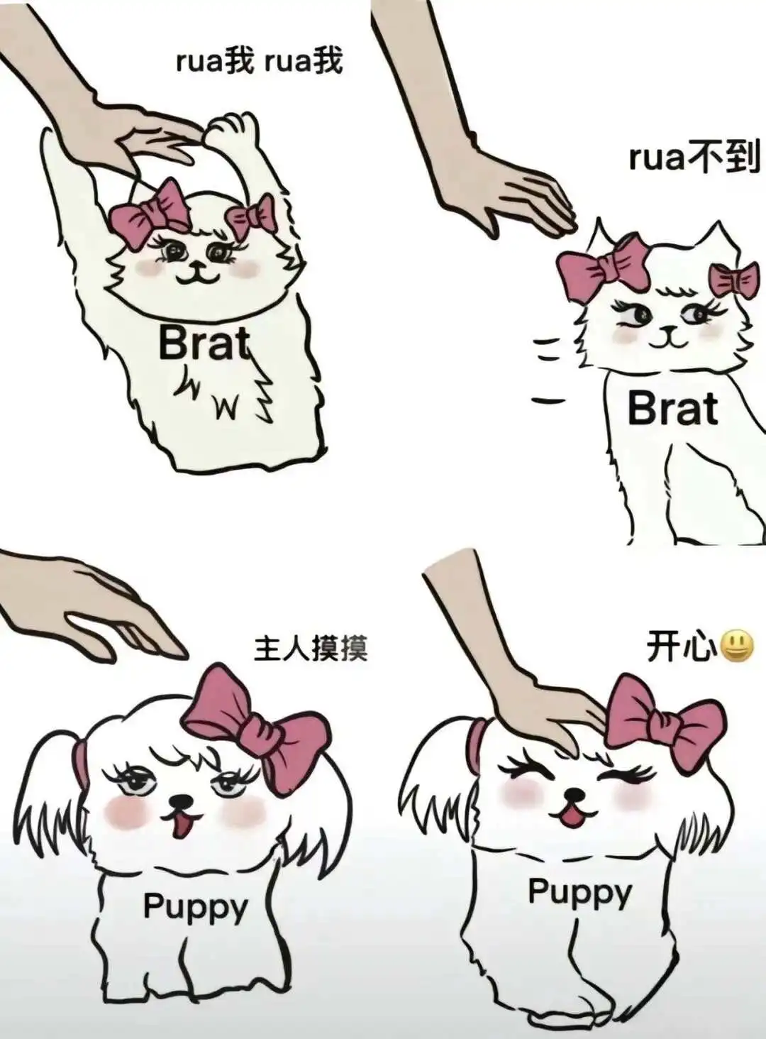 西檬之家字母圈女王是什么意思? 一