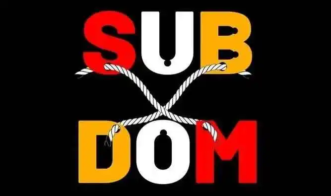 西檬之家字母圈里的Dom是什么意思? 一