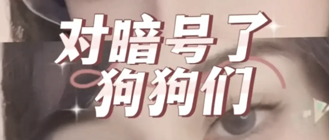 西檬之家BDSM是什么?字母圈新人入圈指南 一